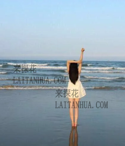 厦门岛内兼职小姐姐，可约