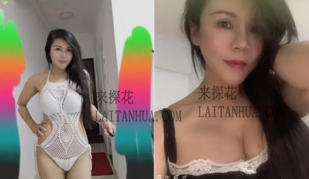 岛内不错熟女姐姐