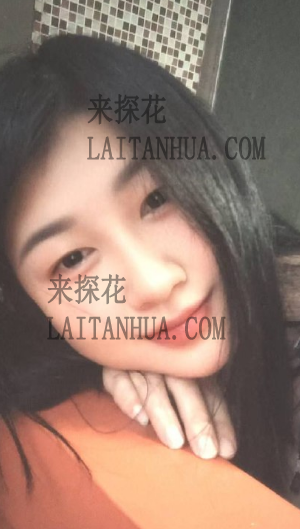 晋江95服务小野猫500/PP