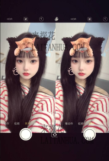 泉州晋江04年蔓越莓嫩妹