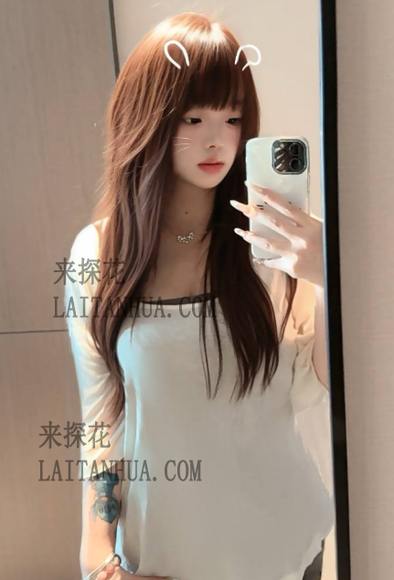 广州顺德区狸花鼠微胖可以自带制服