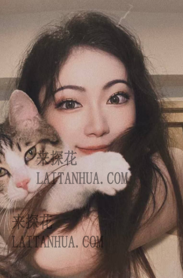 四川成都哈娜全城上门，不挑位置
